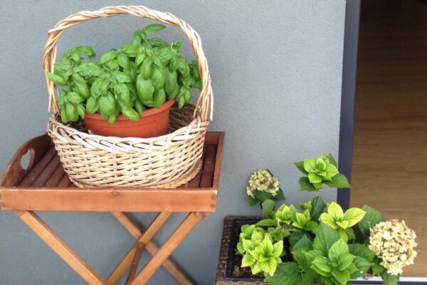 dd205432-0fd7-40af-8fd9-800400b50467